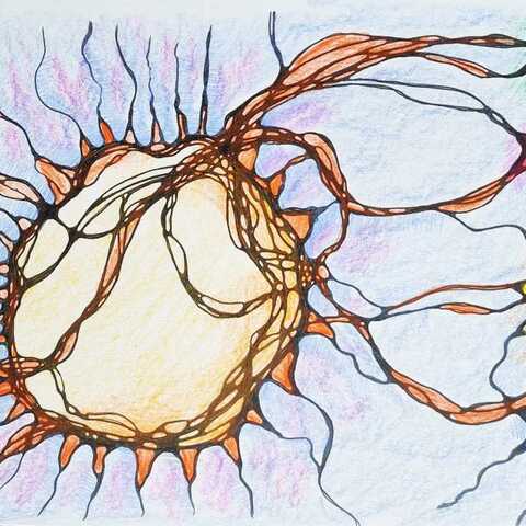 Neurografica Modul NeuroTarget Xeral 4