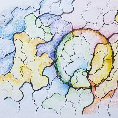 Neurografica Modul NeuroContact Xeral 4