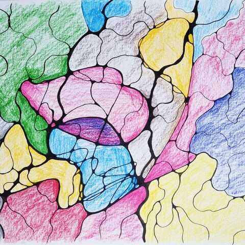 Utilizator NeuroGrafica Xeral