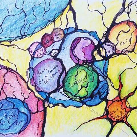 Neurografica Modul NeuroContact Xeral 2