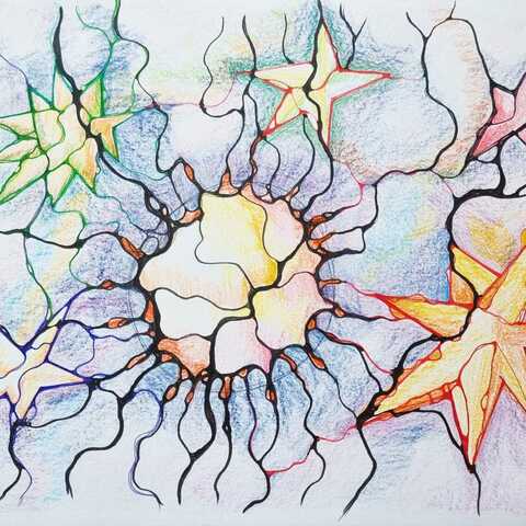 Neurografica Modul NeuroTarget Xeral 3