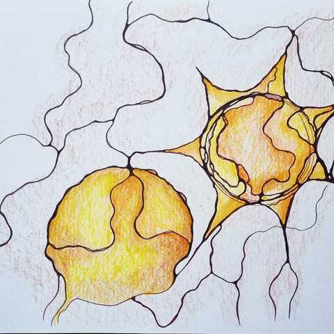 Neurografica Modul NeuroTarget Xeral 6