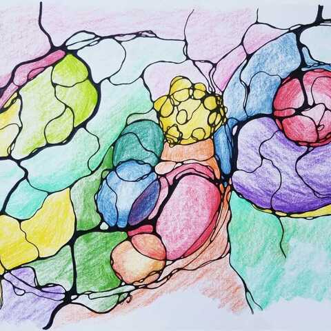 Neurografica Modul NeuroContact Xeral 5