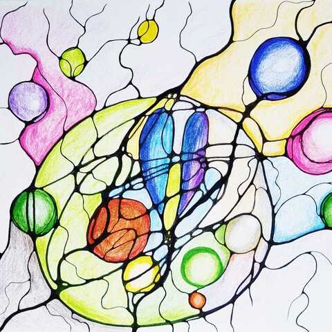 Utilizator NeuroGrafica Xeral